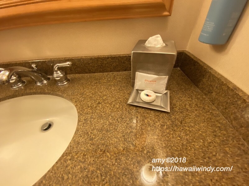Hilton Hawaiian village008
