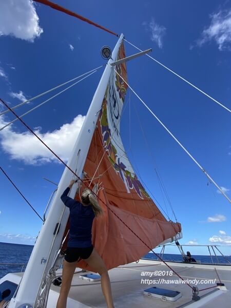 Hilton catamaran006