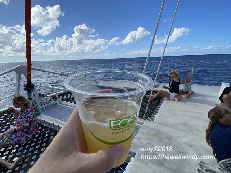 Hilton catamaran007