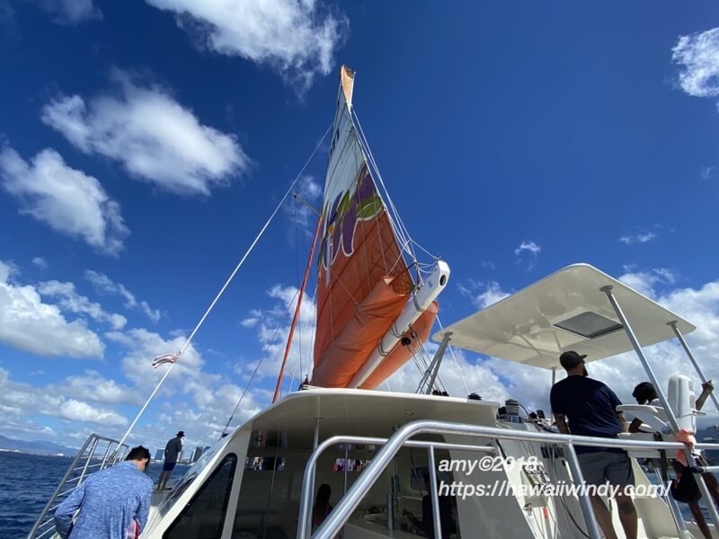 Hilton catamaran009